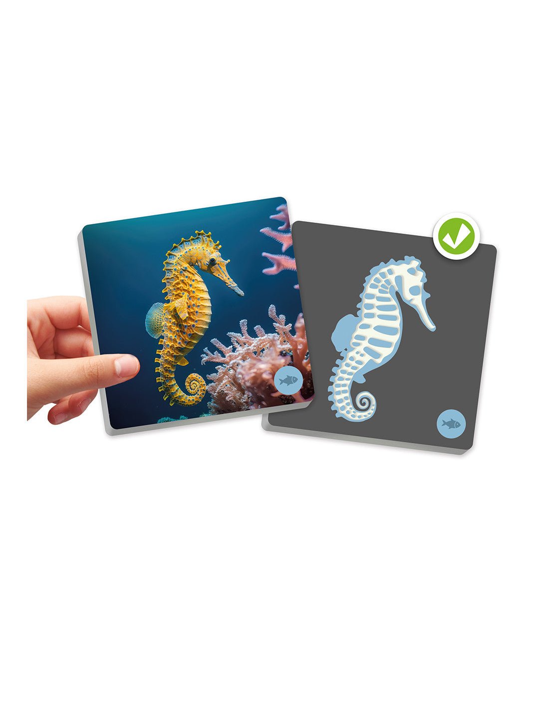 Akros - Akros - Maxi - memory - Dieren en hun skeletten - Playlaan