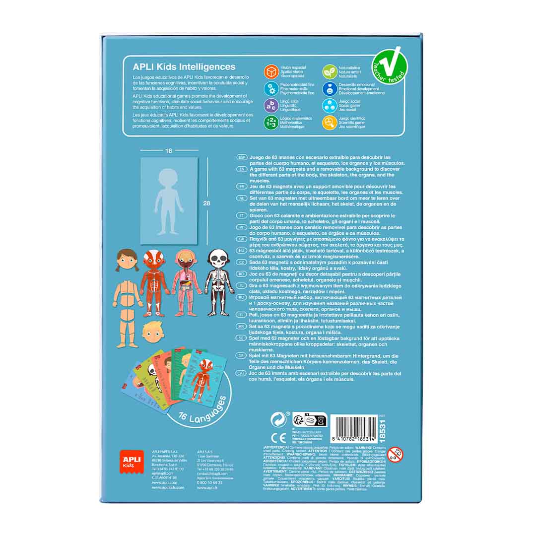 Apli Kids - Menselijk Lichaam Magneetkaart 63 - delig - Playlaan