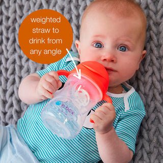 B.box - B.box - Drinkbaker Sippy Cup 240ml - Apple - Playlaan