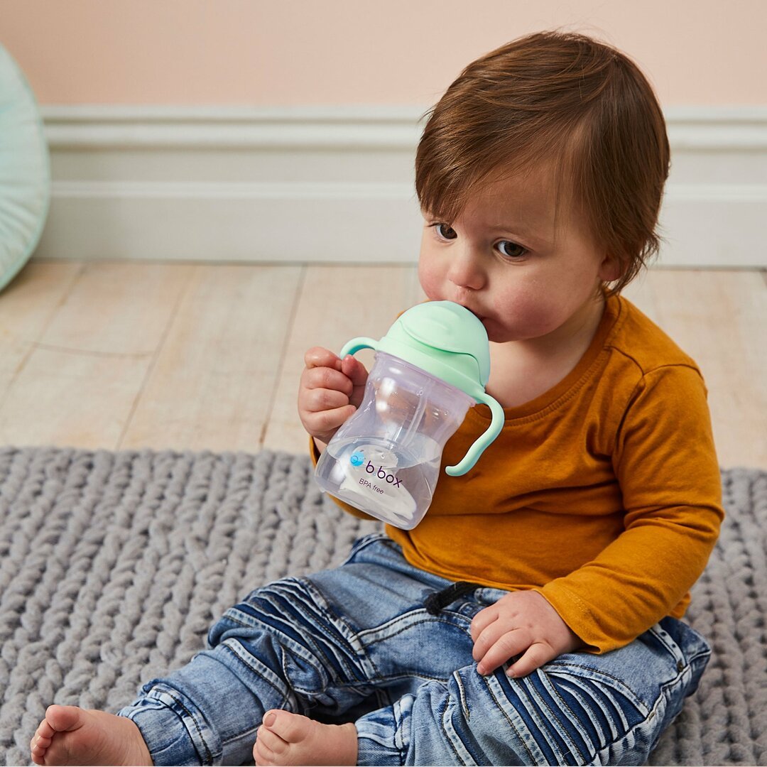 B.box - B.box - Drinkbaker Sippy Cup 240ml - Pistachio - Playlaan