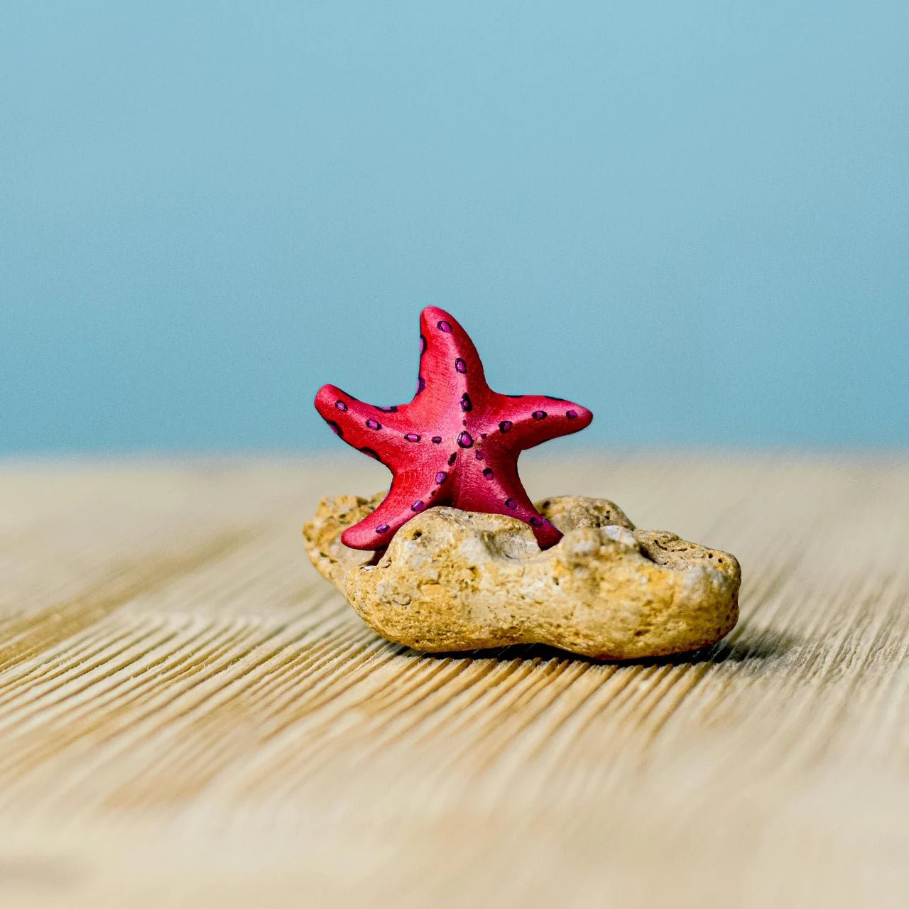 Bumbu Toys - Red Starfish SET - Playlaan