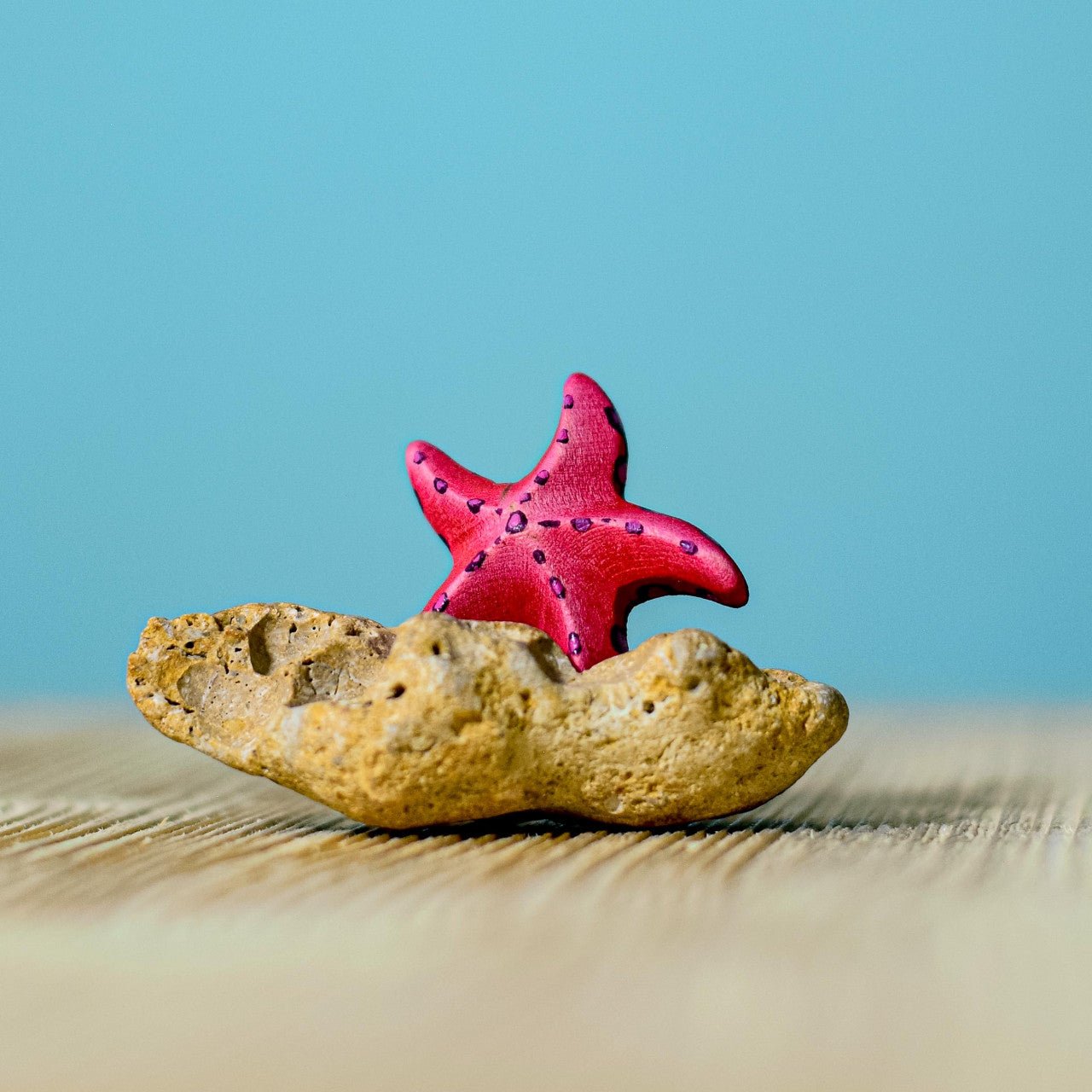 Bumbu Toys - Red Starfish SET - Playlaan