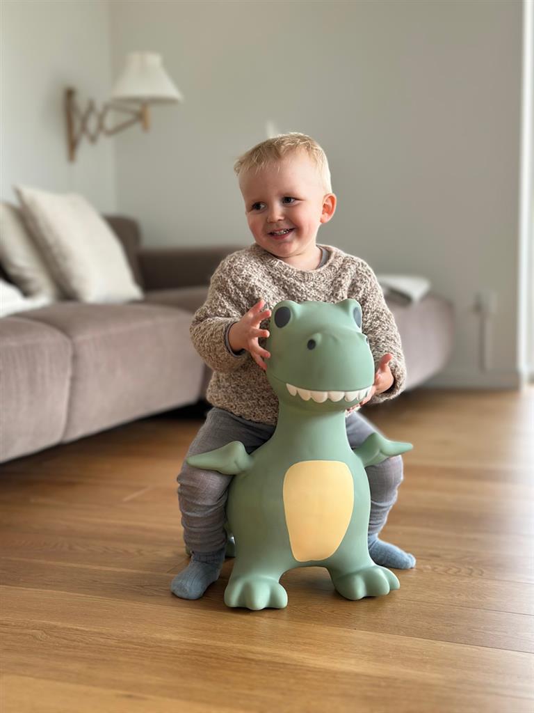 Find that Hippo - Find that Hippo - Springdier Dino Dexter (60x23x52cm) - Playlaan