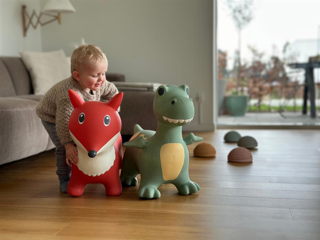Find that Hippo - Find that Hippo - Springdier Dino Dexter (60x23x52cm) - Playlaan
