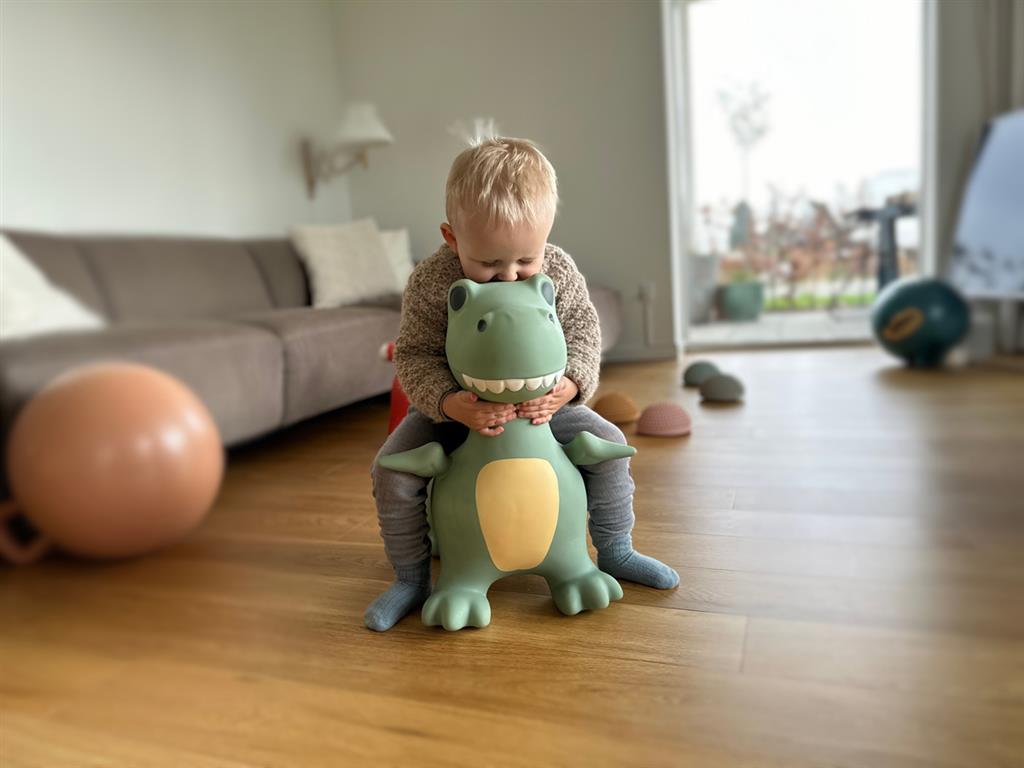 Find that Hippo - Find that Hippo - Springdier Dino Dexter (60x23x52cm) - Playlaan