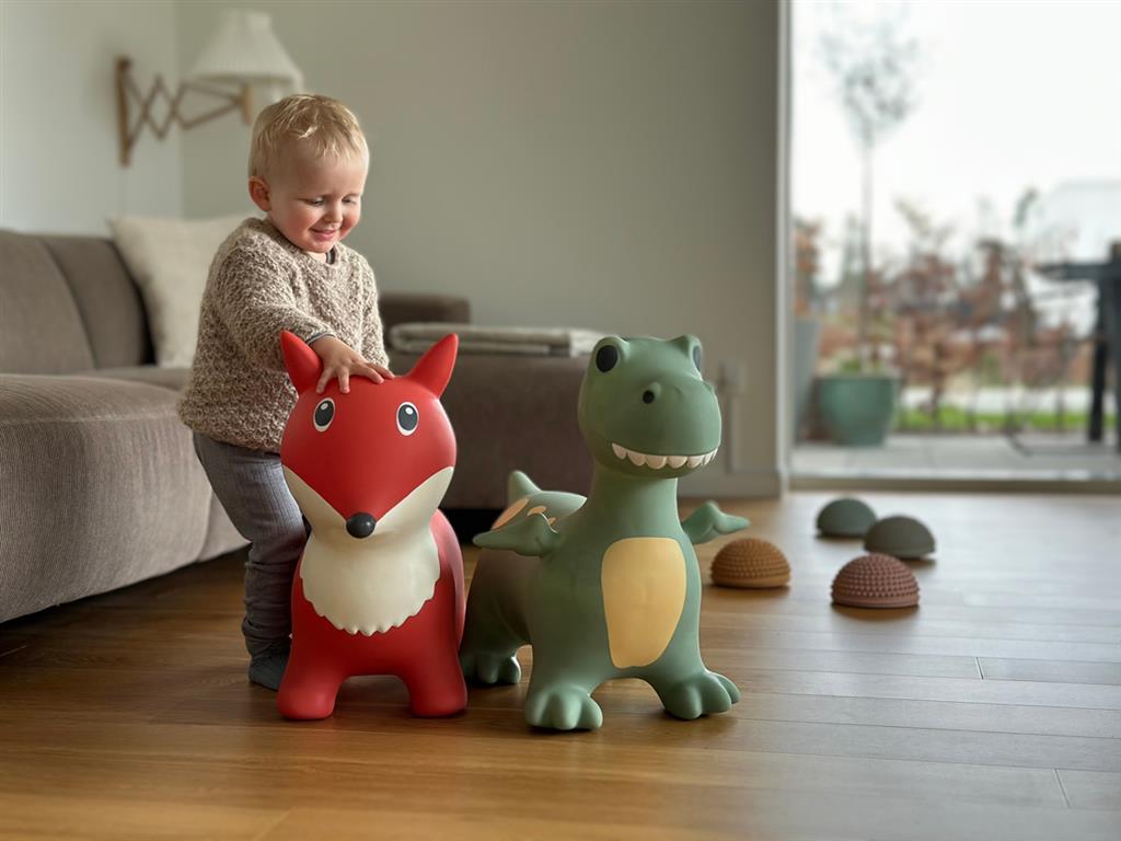 Find that Hippo - Find that Hippo - Springdier Dino Dexter (60x23x52cm) - Playlaan