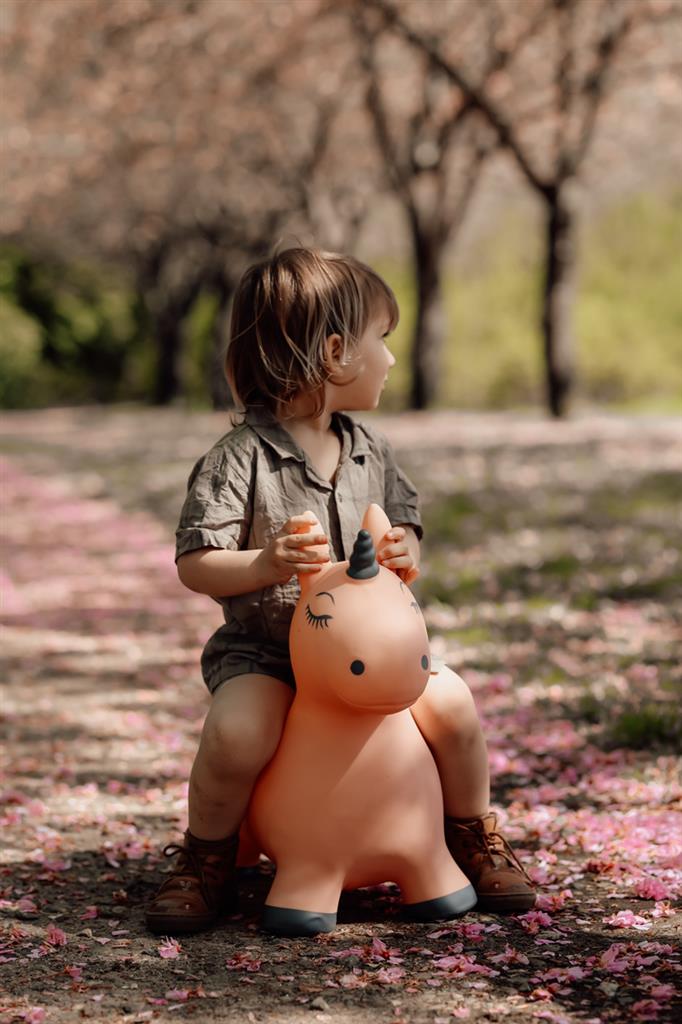 Find that Hippo - Find that Hippo - Springdier Eenhoorn Luna (60x23x52cm) - Playlaan