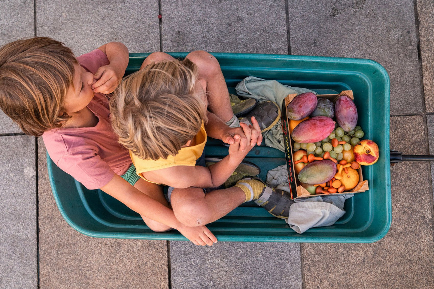 Grapat - Mandala pumkins - Playlaan