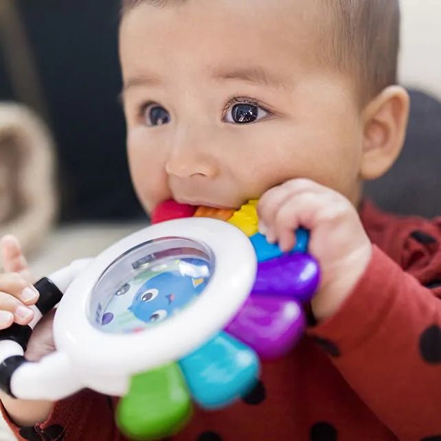 Hape - Hape - Sensorische Rammelaar Bijtring Uitstekende Opus - Baby Einstein - Playlaan