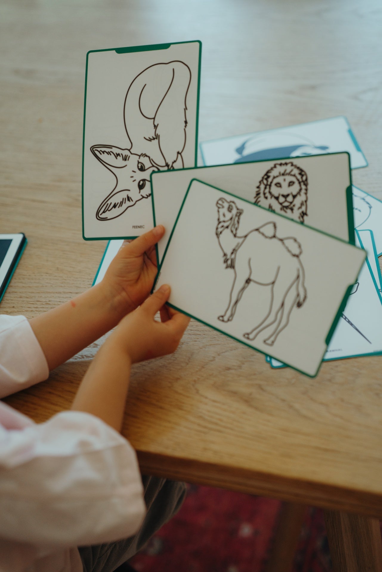 Kidywolf - Kidywolf - Kidydraw - mini Tekentablet - Dieren over de hele wereld - Playlaan