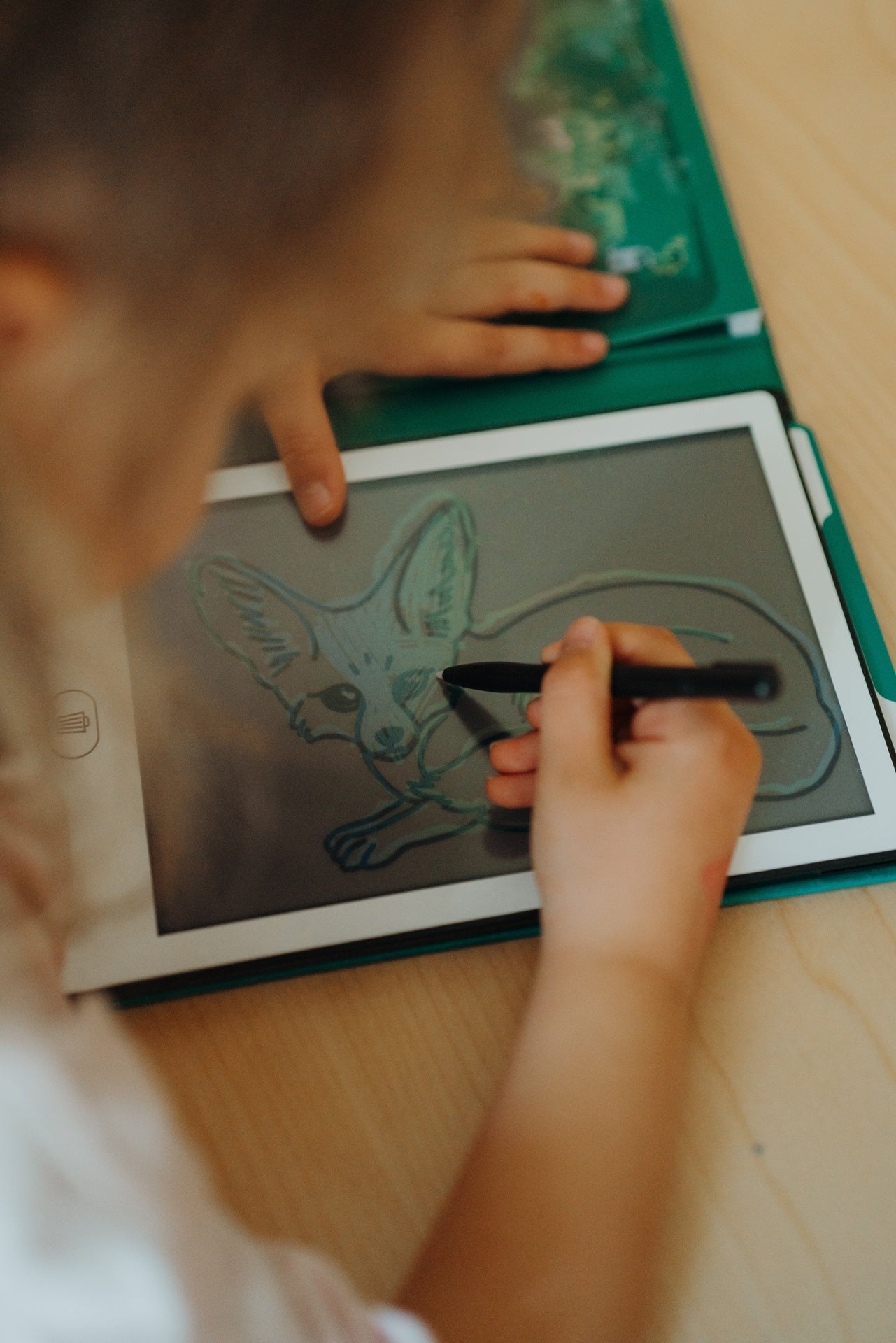 Kidywolf - Kidywolf - Kidydraw - mini Tekentablet - Dieren over de hele wereld - Playlaan