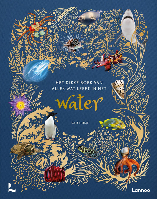 Lannoo - Lannoo - Het dikke boek van alles wat leeft in het water Sam Hume - Playlaan