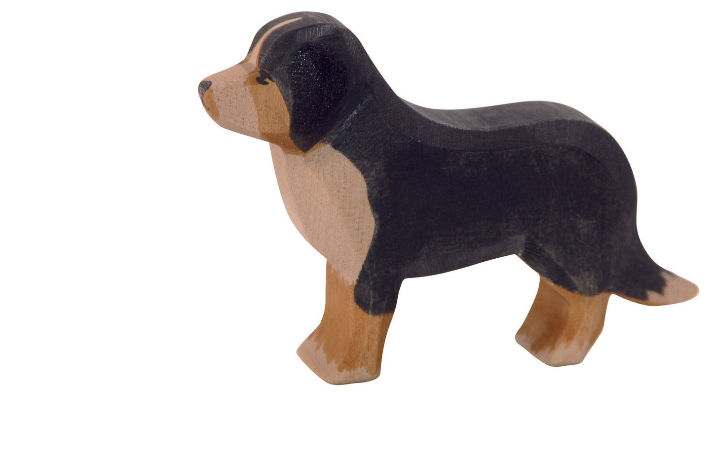 Ostheimer - Berner Sennenhond - Playlaan