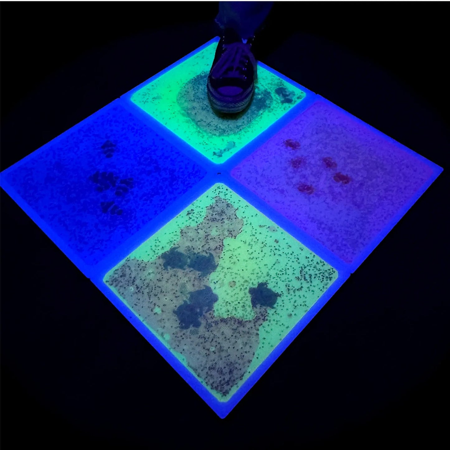 Playlaan - Sensorische Vloeibare Tegels Zeedieren UV lichtgevend - set van 4 - Playlaan