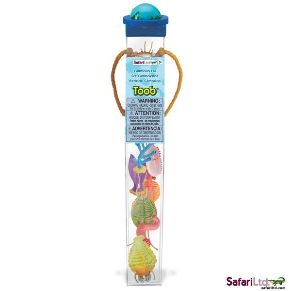 Safari Ltd - Speelfiguren TOOB® - Wezens van het Cambrium - Playlaan