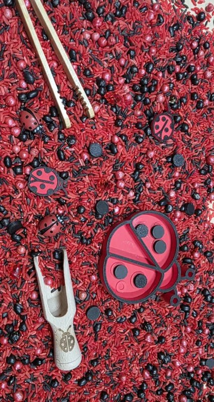 SensoryFun - SensoryFun - PourAndPlay LadyBugs - Playlaan