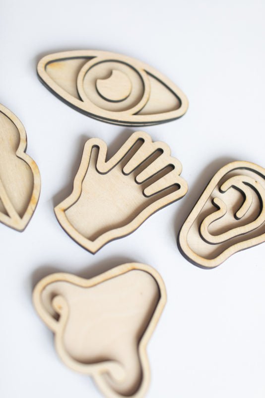 Studio de Rijk - Studio de Rijk - Houten Speeltray set - Zintuigen - Playlaan