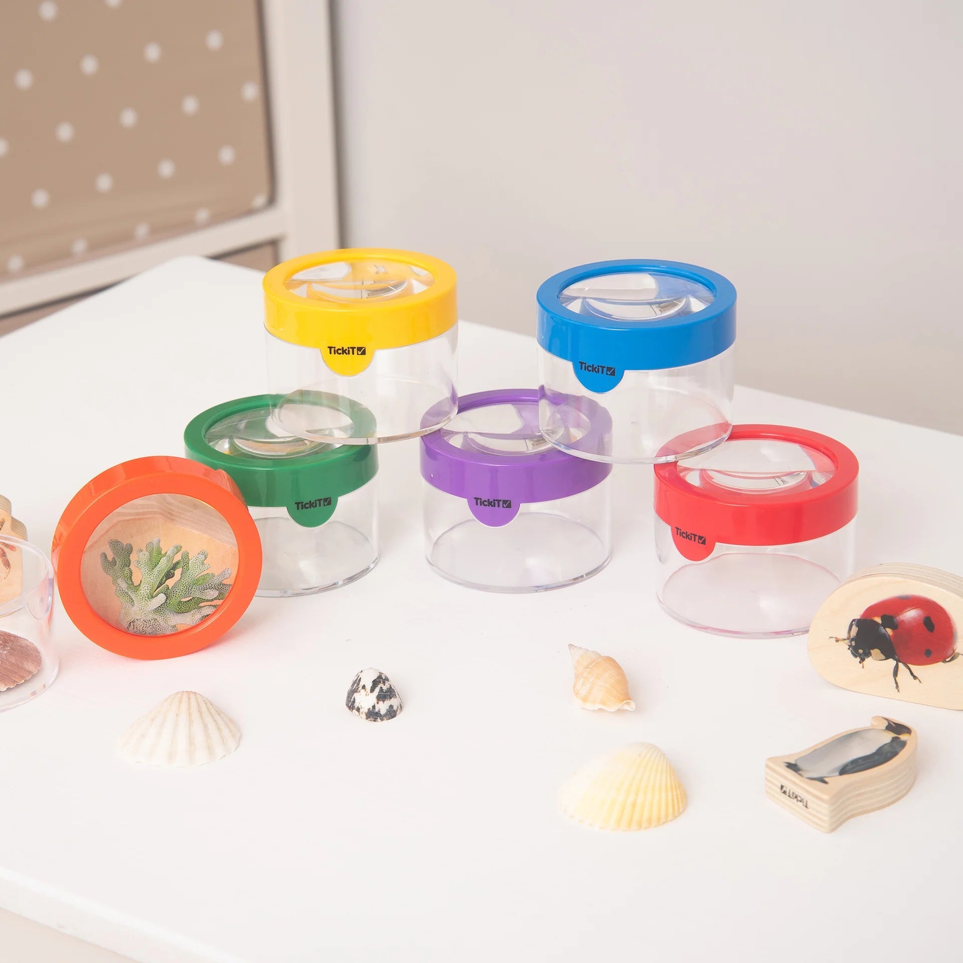 Tickit - Tickit - Potje met vergrootglaas 1 stuk assorti - Playlaan