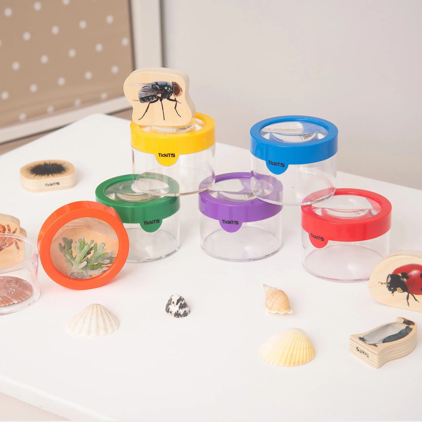 Tickit - Tickit - Regenboog Verkenningsset - Playlaan