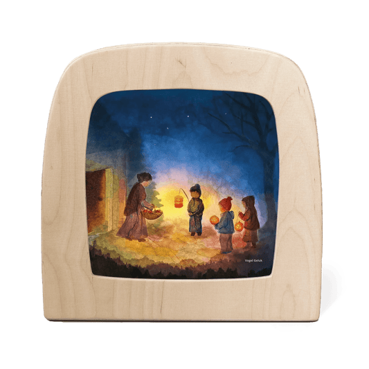 Toverlux - Toverlux - Sint Maarten Toverplaat - Vogel Geluk - Playlaan