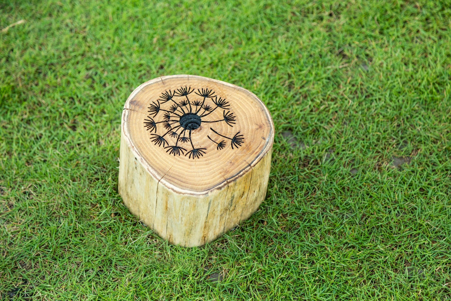 Wisdom - Balanspad voor buiten (set van 12) - Playlaan