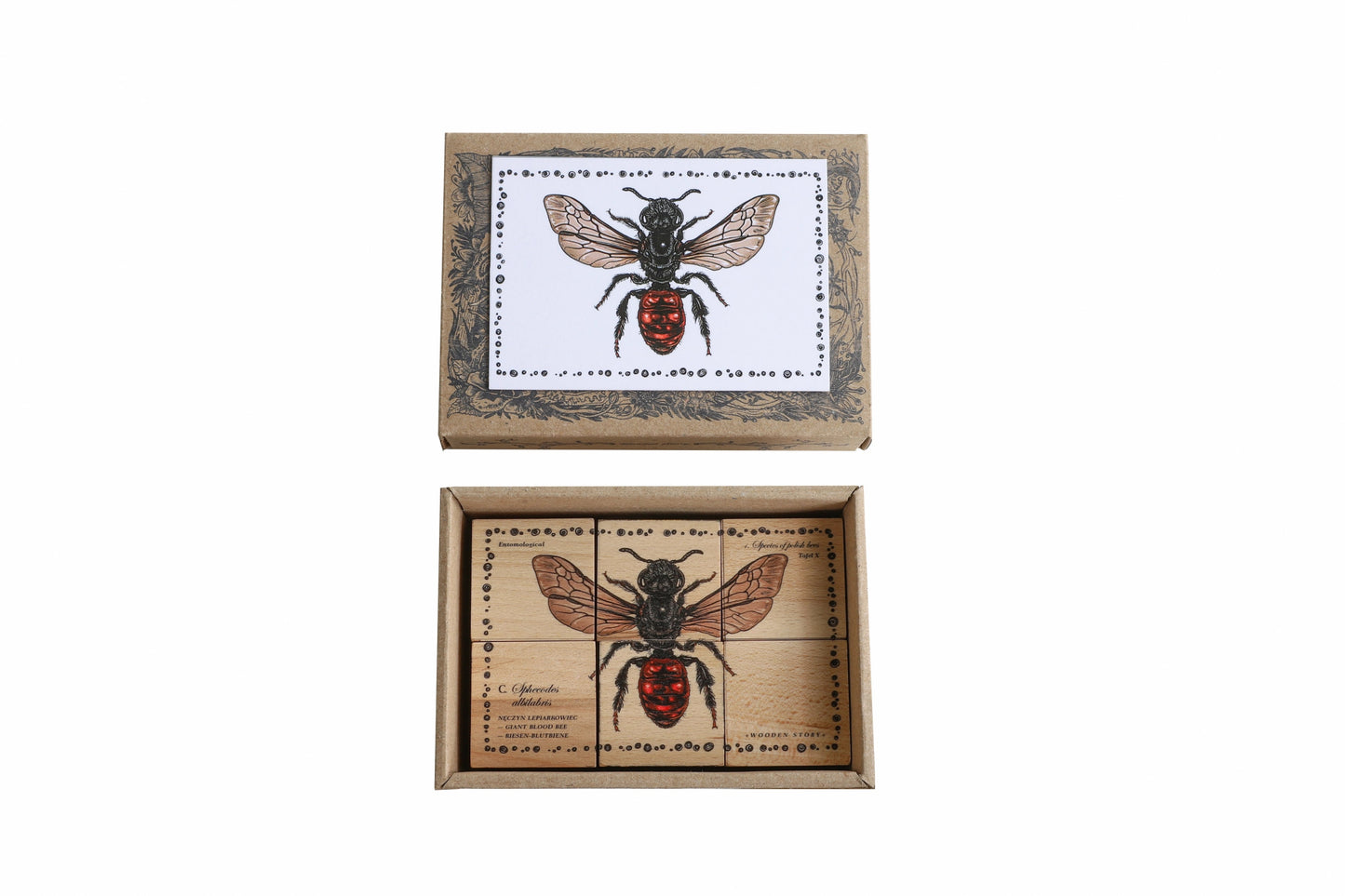 Wooden Story - Blocks Species Bees - Playlaan