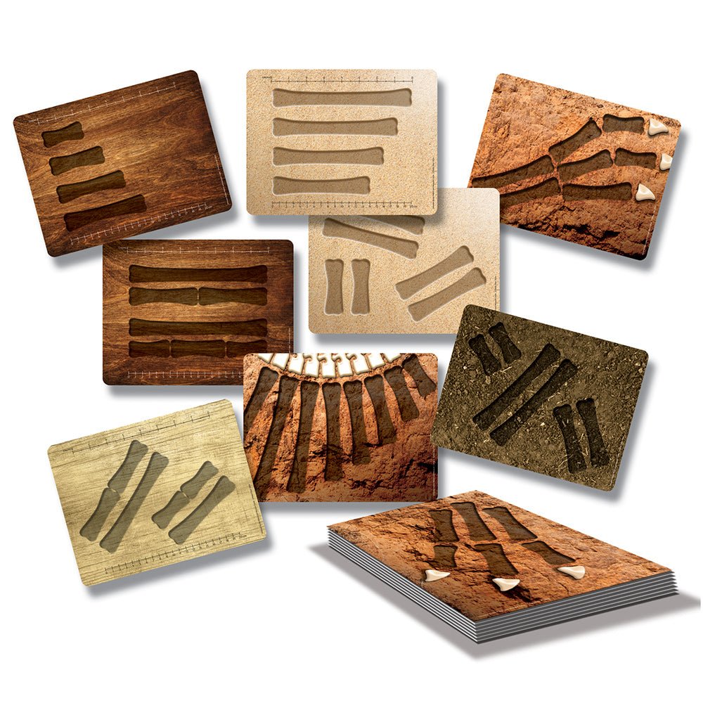 Yellow Door - Yellow door - Dinosaur botten match - en meetset - Playlaan