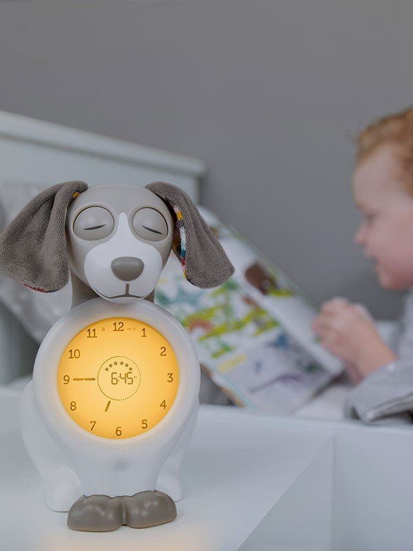 Zazu - Zazu - Sleeptrainer Hond - Davy Taupe - Playlaan