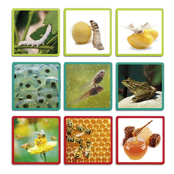 Akros - Nature Maxi-Sequences - Playlaan