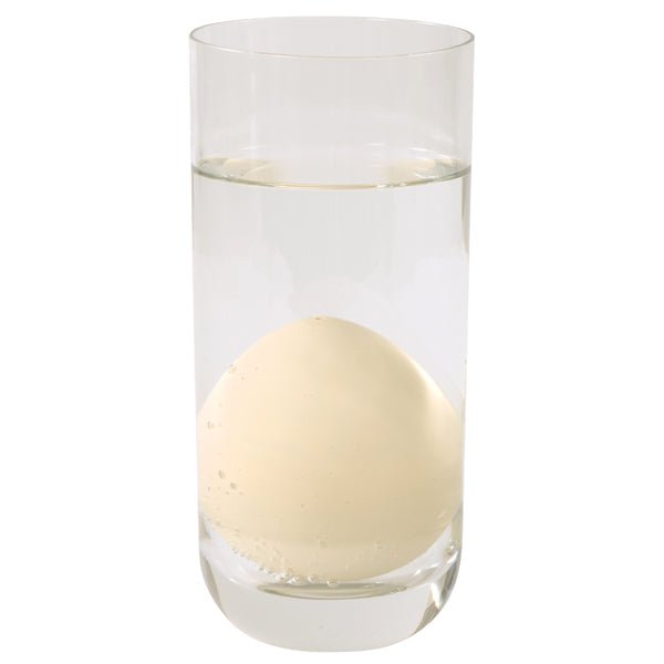 Eduplay - Growing Eggs - Zeedieren - Playlaan