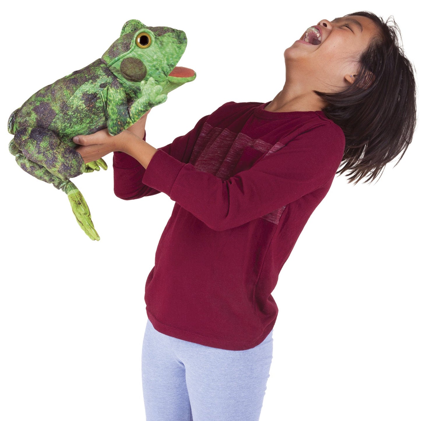 Folkmanis - Handpop - Frog Life Cycle - Playlaan