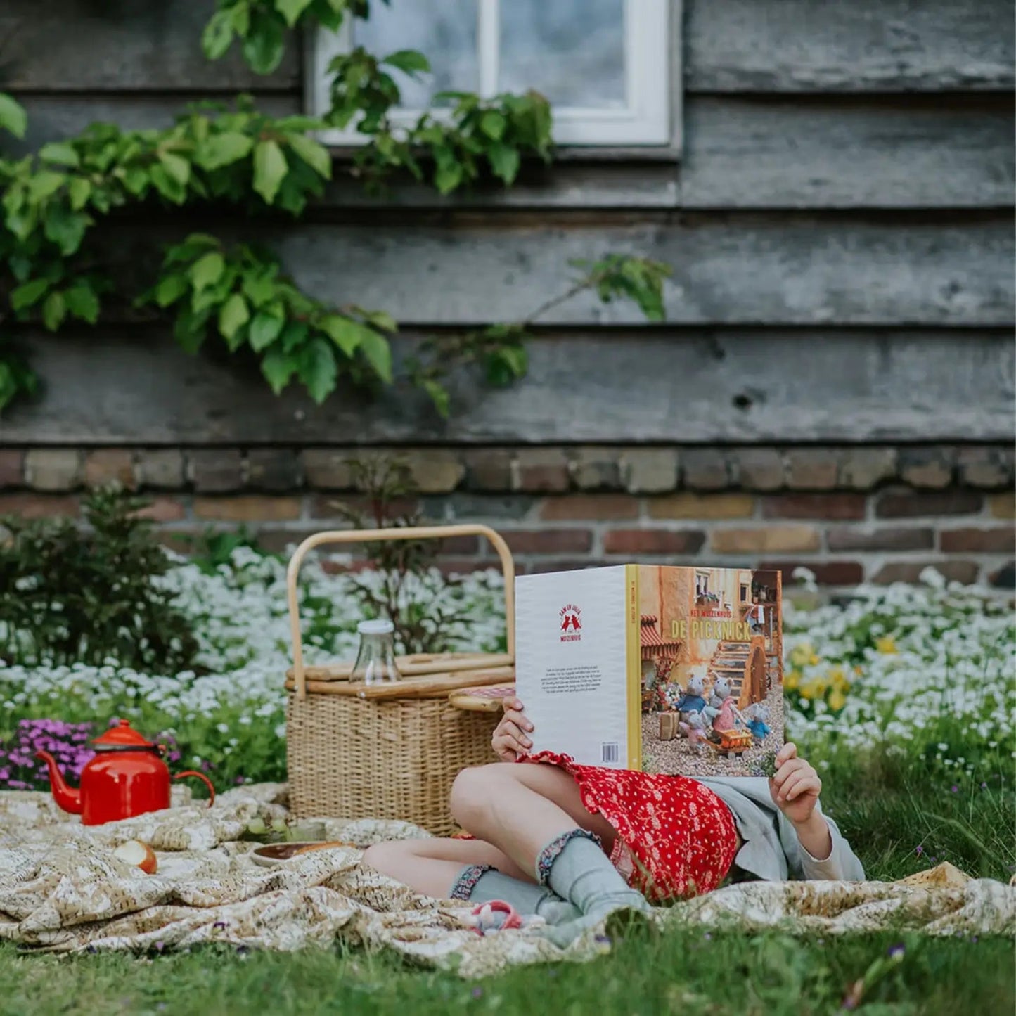 Het Muizenhuis - Kinderboek - De Picknick (Nederlands) - Het Muizenhuis - Playlaan