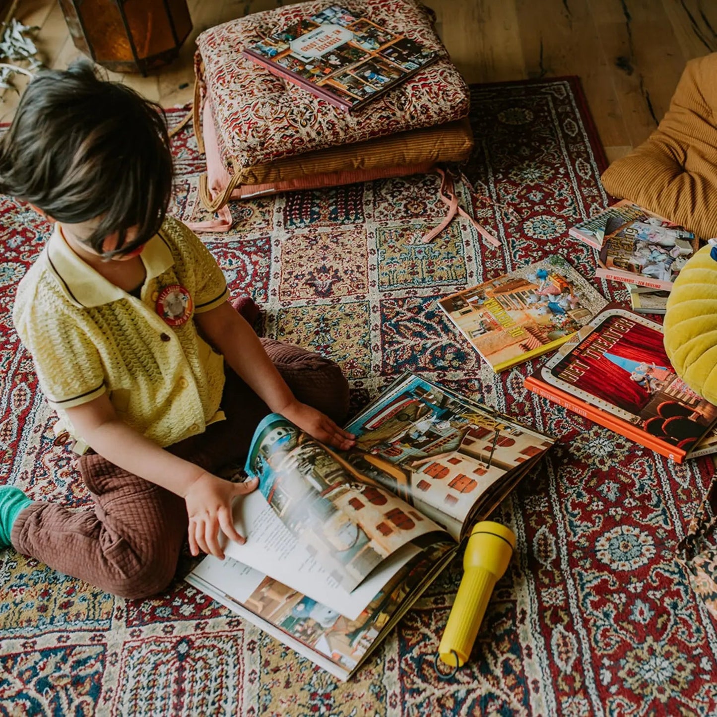 Het Muizenhuis - Kinderboek - Het Circus (Nederlands) - Het Muizenhuis - Playlaan