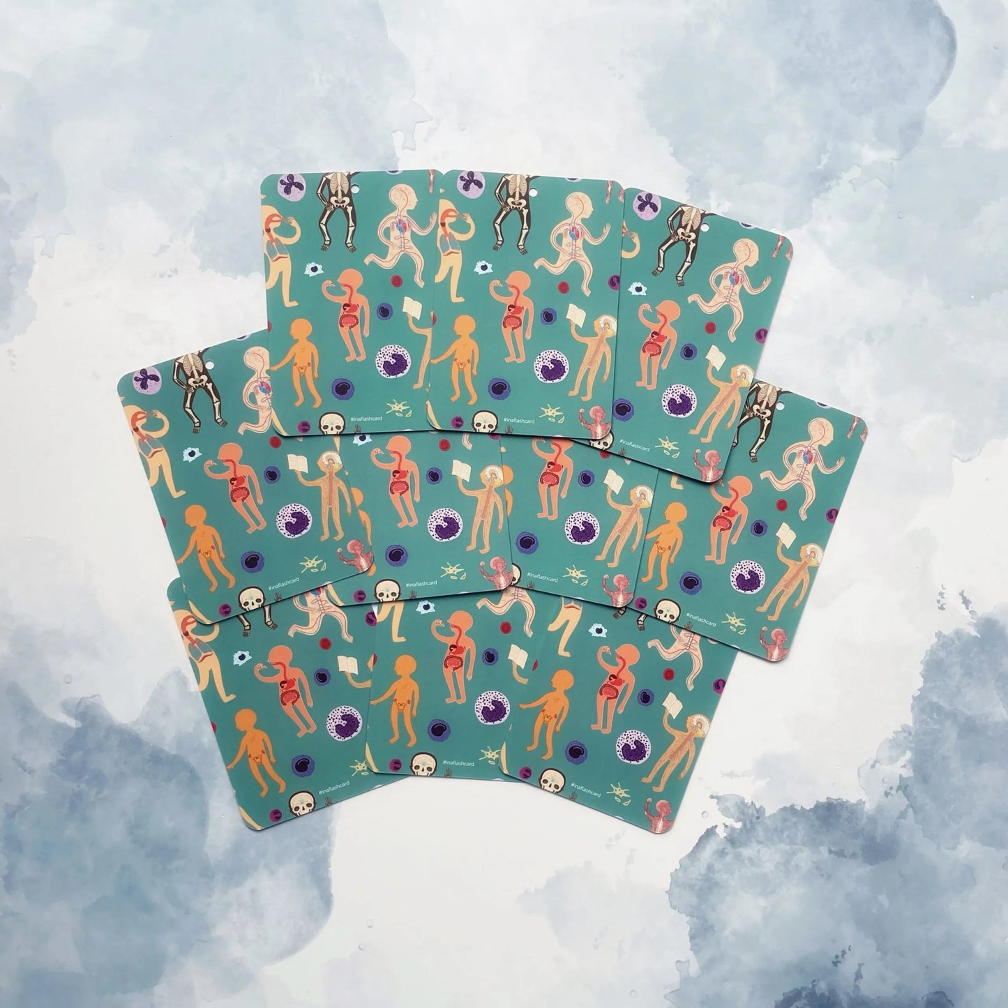 In A Flashcard - Lichamssystemen miniset - Playlaan