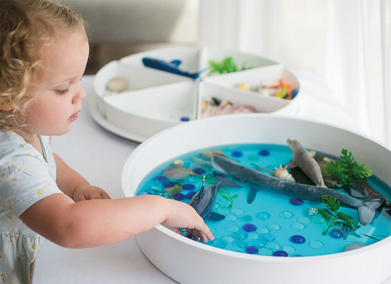 Inspire My Play - PlayTRAY - speelbak met deksel en 6 inserts - 43cm - Playlaan