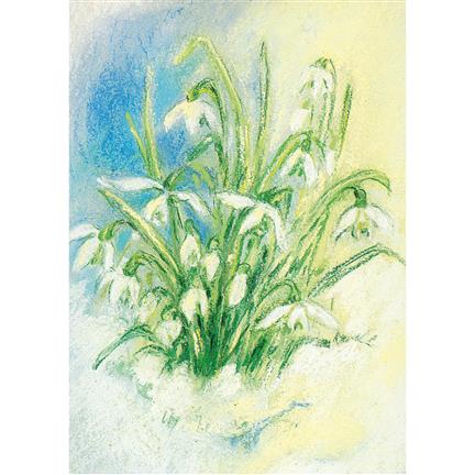 Marjan van Zeyl - Kaart M.v. Zeyl - Sneeuwklokjes - Playlaan