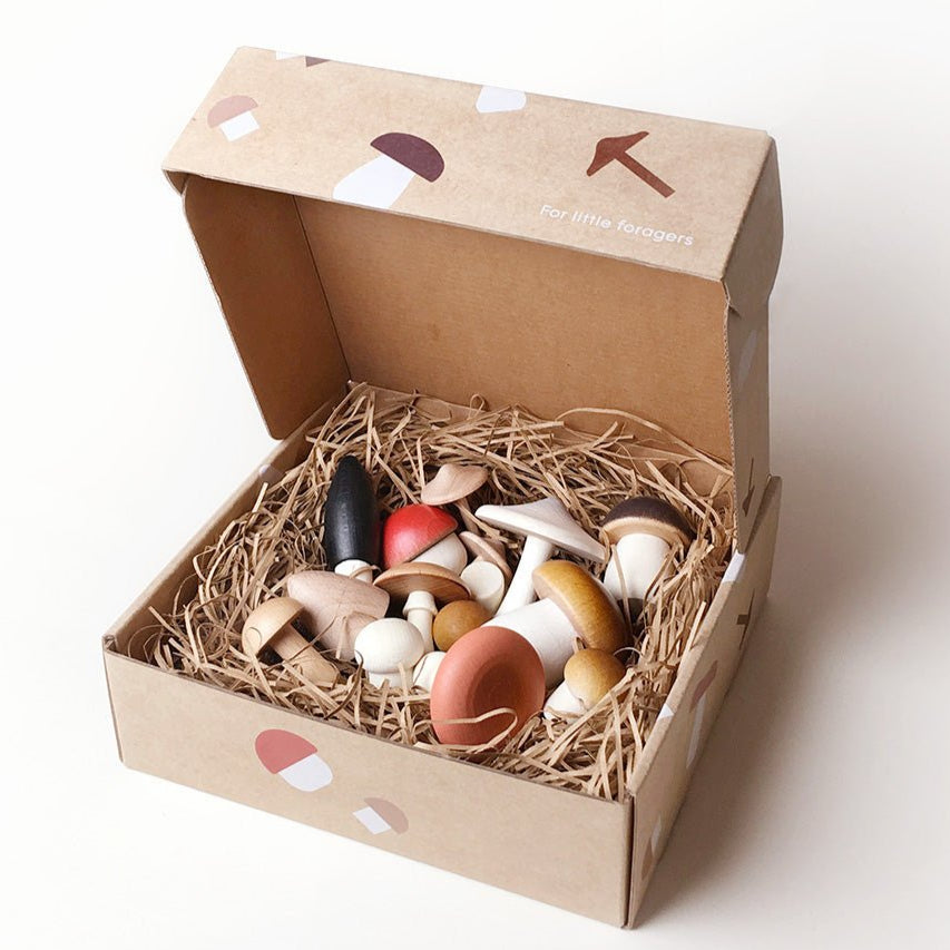 Moon Picnic - Forest Mushrooms in a box - Playlaan