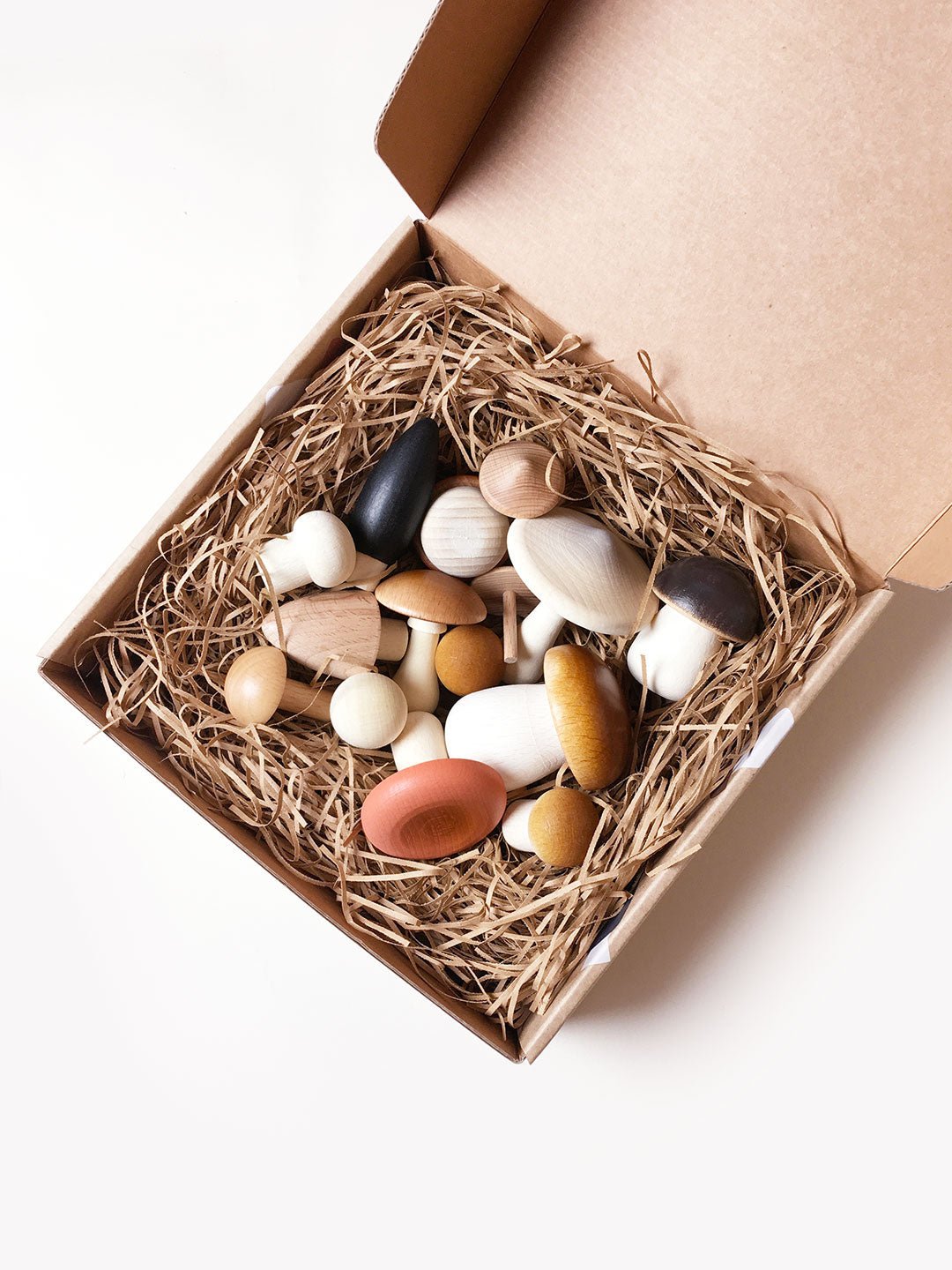 Moon Picnic - Forest Mushrooms in a box - Playlaan