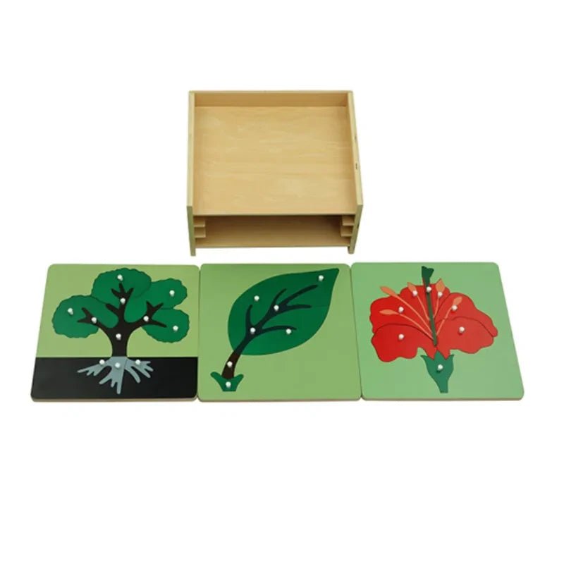 Moyo Montessori - 3 Botanische puzzels met kast - Playlaan