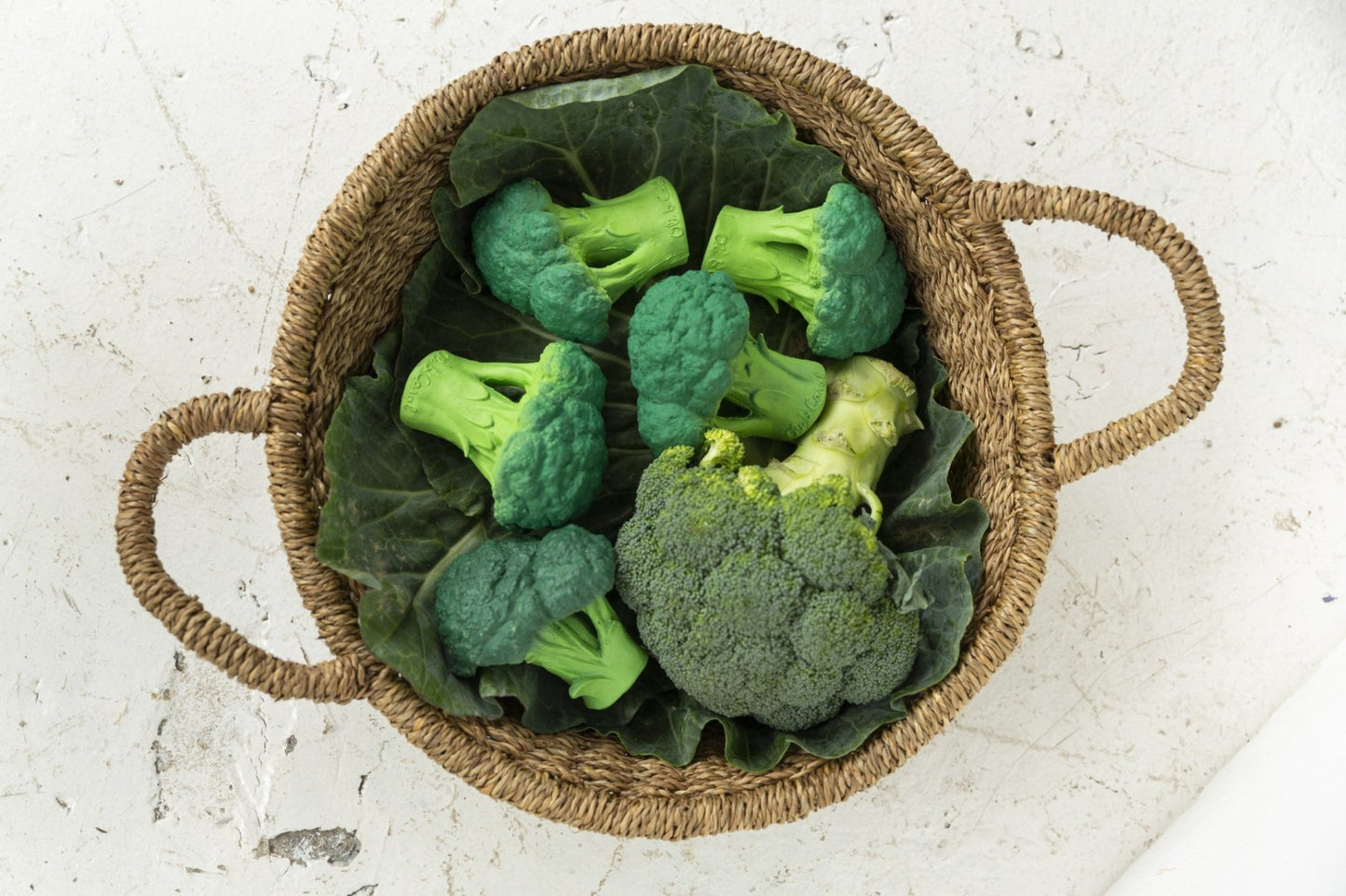 Oli&Carol - Brucy The Broccoli - Playlaan