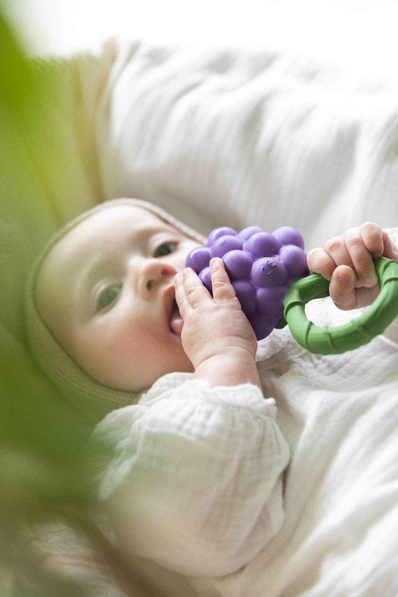 Oli&Carol - Grape Rattle Toy - Playlaan