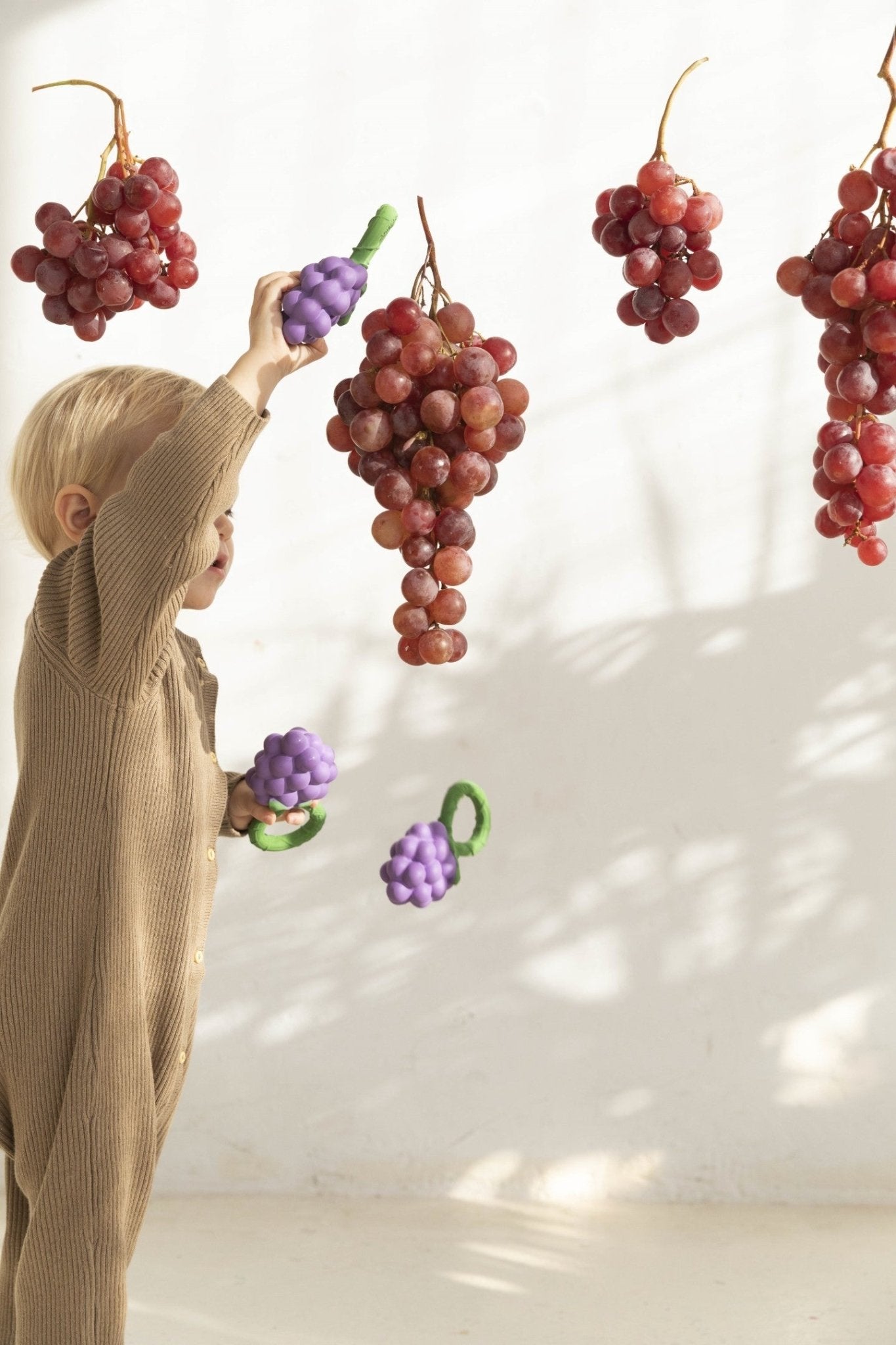 Oli&Carol - Grape Rattle Toy - Playlaan