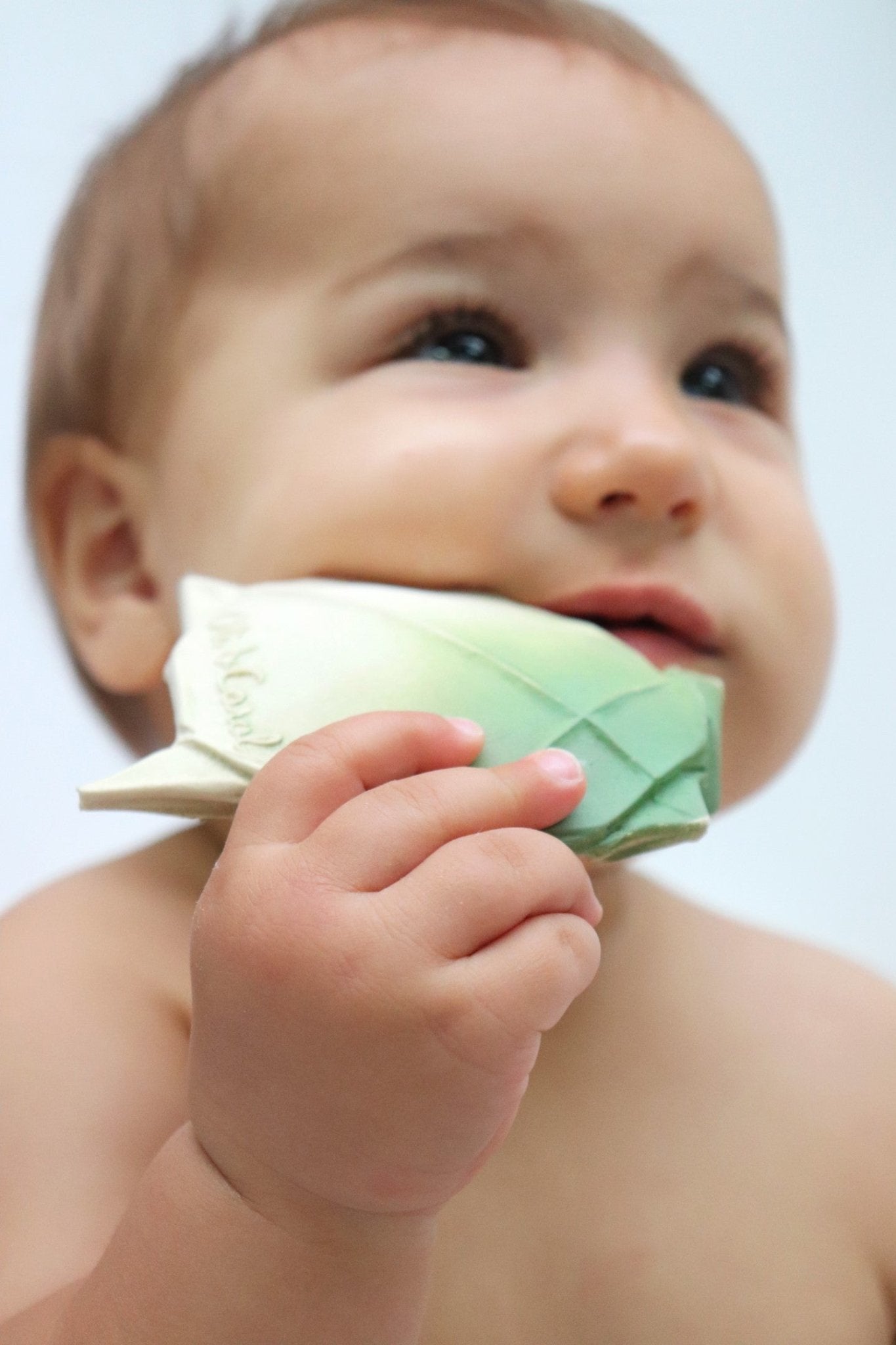 Oli&Carol - H2Origami Turtle - Playlaan
