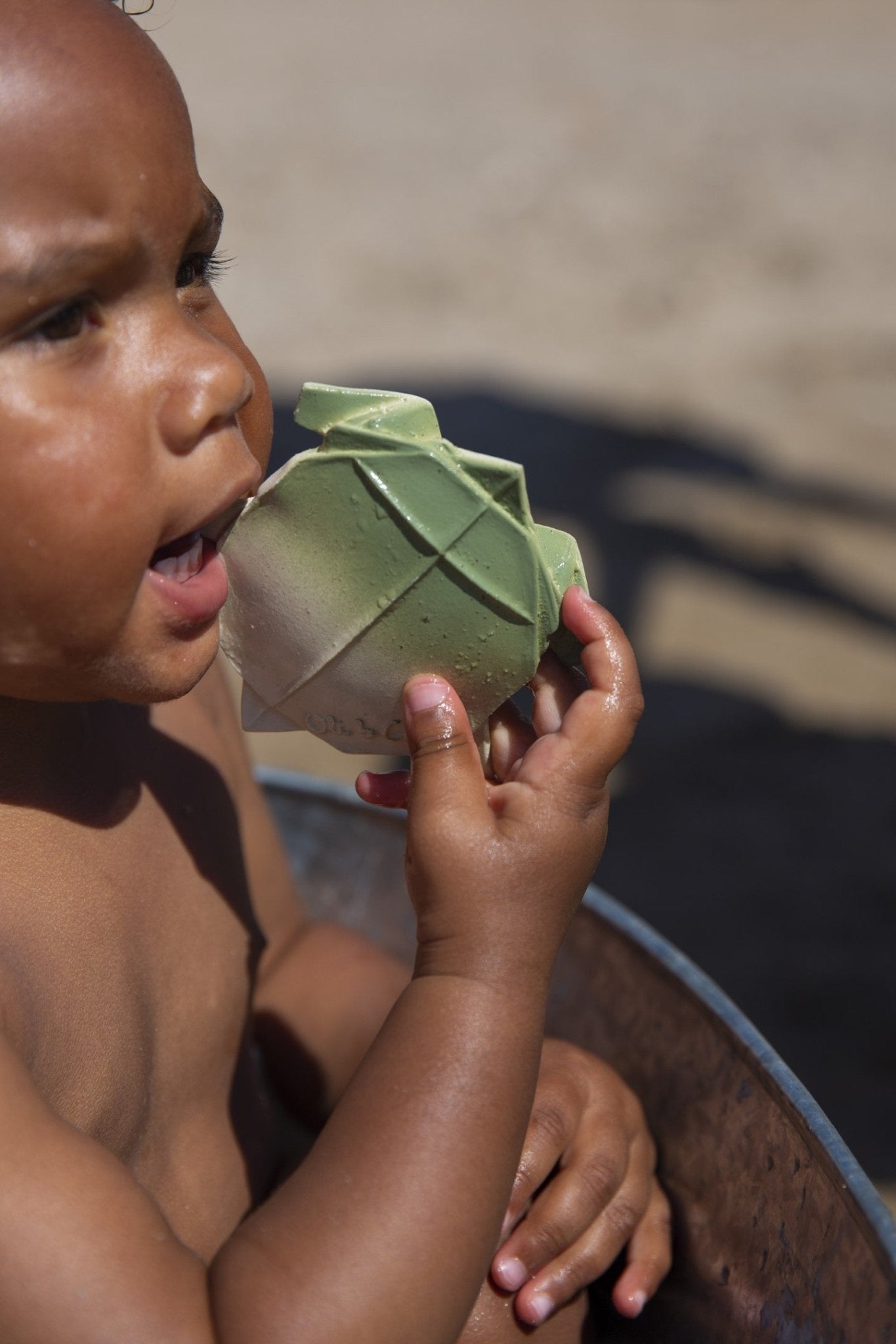 Oli&Carol - H2Origami Turtle - Playlaan