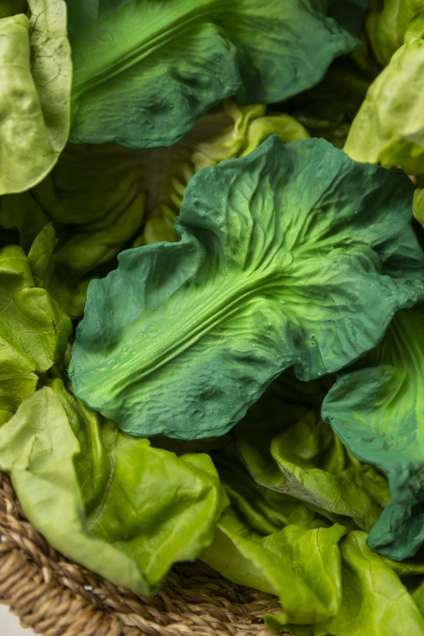 Oli&Carol - Kendall The Kale - Playlaan