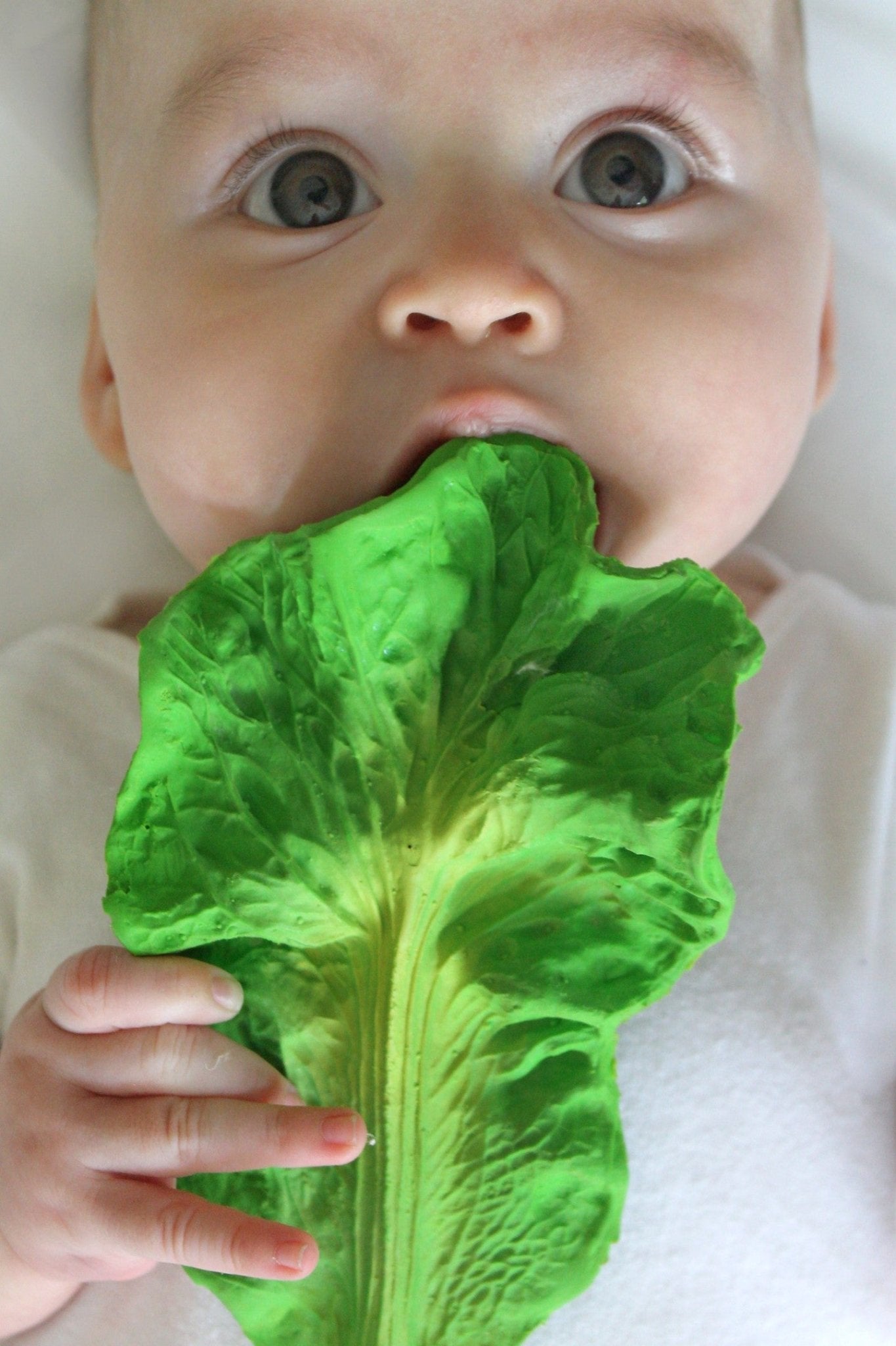 Oli&Carol - Kendall The Kale - Playlaan