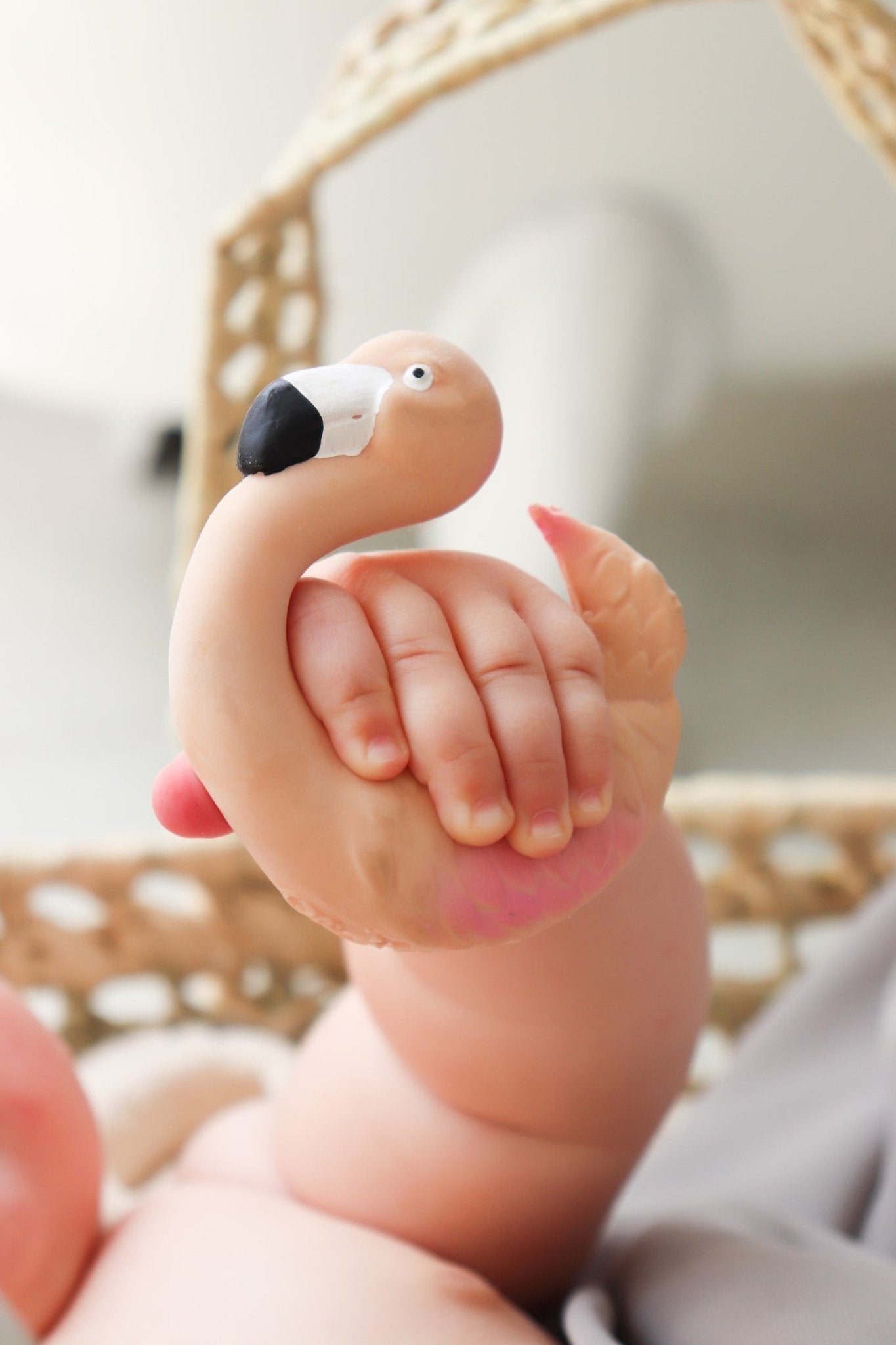 Oli&Carol - Sky The Flamingo - Playlaan