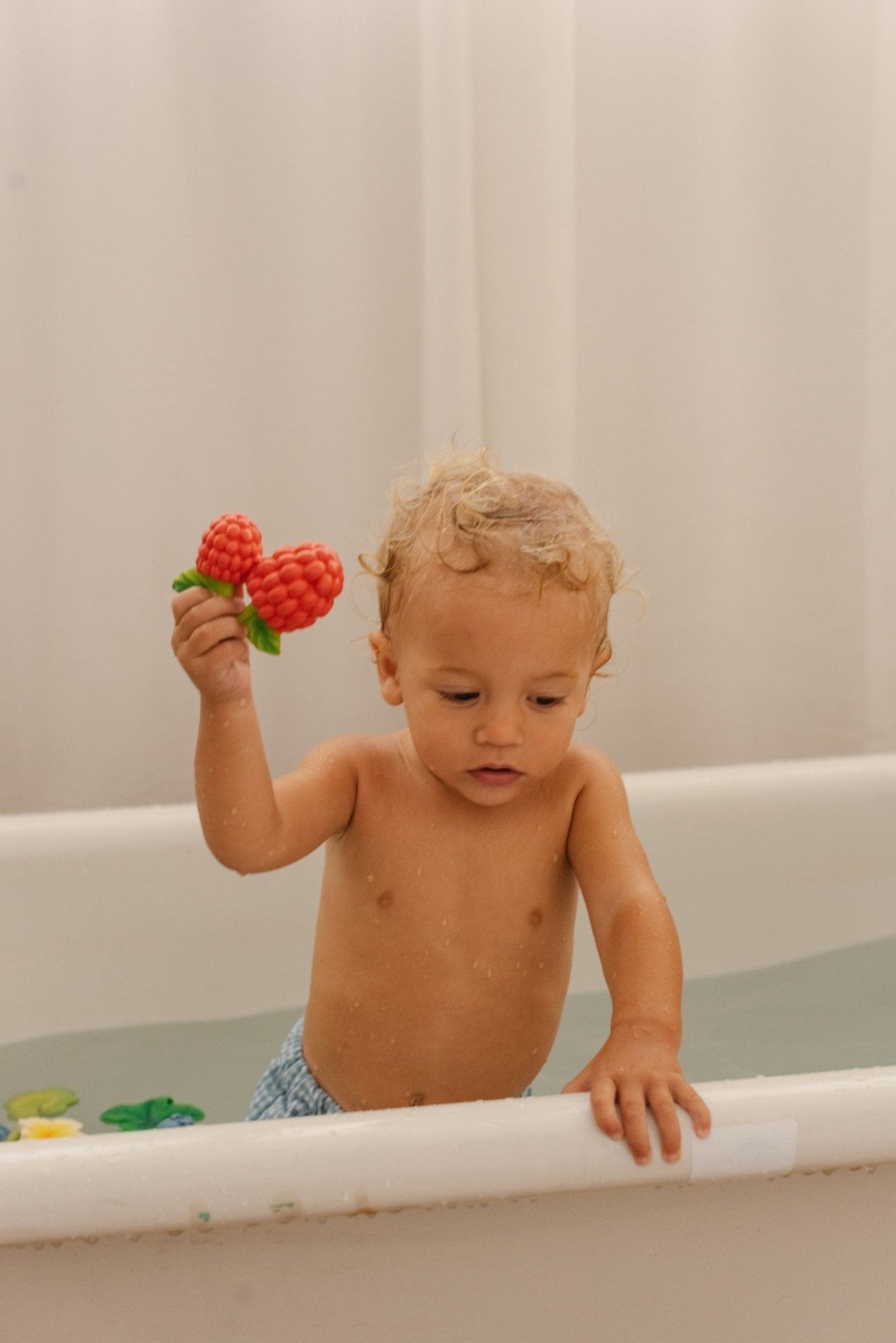 Oli&Carol - Valery The Raspberry - Playlaan
