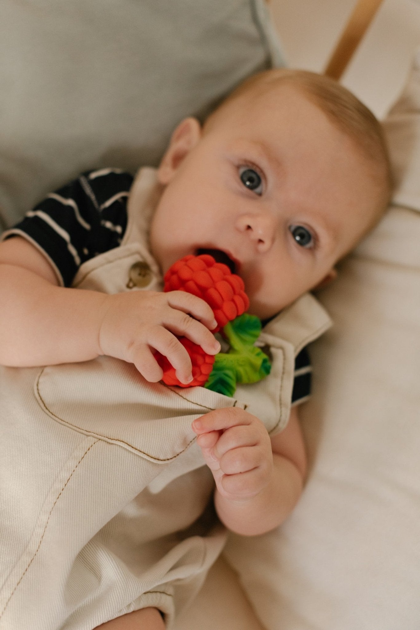 Oli&Carol - Valery The Raspberry - Playlaan