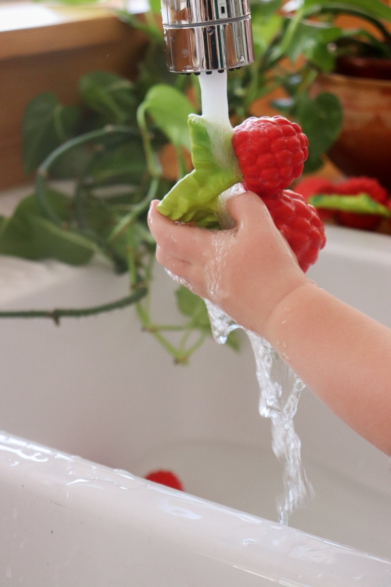 Oli&Carol - Valery The Raspberry - Playlaan